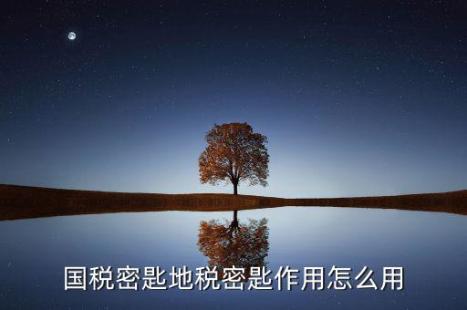 地稅密鑰是干什么的，國稅密匙地稅密匙作用怎么用