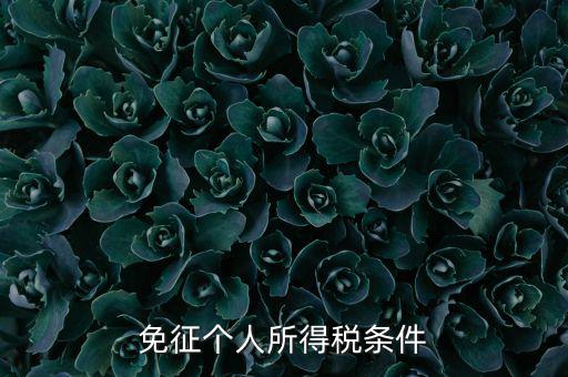 四業(yè)免征個人所得稅有什么要求，個人所得稅減免稅有哪些要求