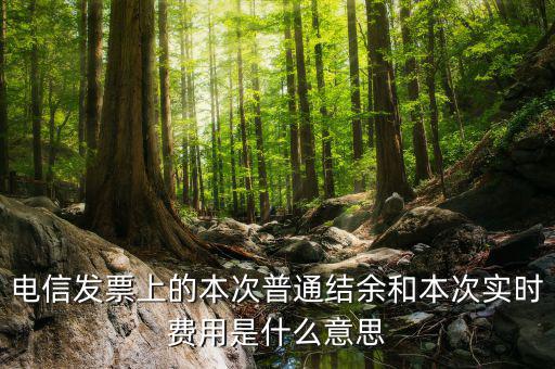 結(jié)余發(fā)票是什么，電信交話費(fèi)發(fā)票上本次普通結(jié)余是什么意思啊 實(shí)時(shí)費(fèi)用又是什么意思啊