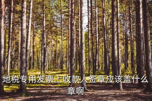 地稅專用發(fā)票上收款人簽章應該蓋什么章啊