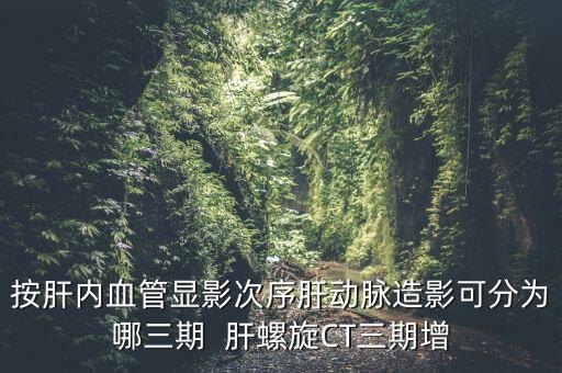 為什么要做三期增強(qiáng)，按肝內(nèi)血管顯影次序肝動脈造影可分為哪三期  肝螺旋CT三期增