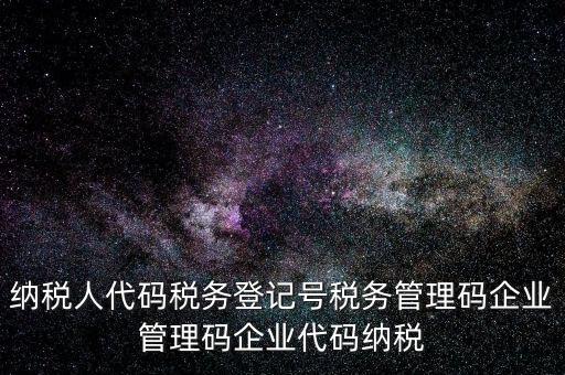 納稅人管理代碼是什么，納稅人代碼稅務(wù)登記號(hào)稅務(wù)管理碼企業(yè)管理碼企業(yè)代碼納稅