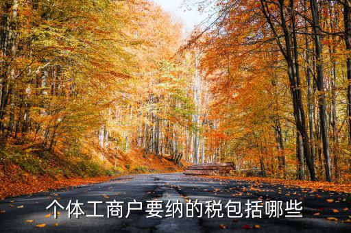 個體戶需要交什么稅，個體工商戶需要鈉哪些稅呢