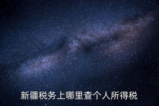 新疆稅務(wù)上哪里查個人所得稅