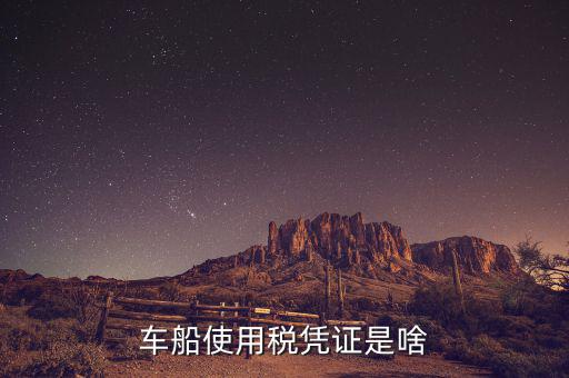 車船稅繳納憑證是什么意思，車船使用稅憑證是啥