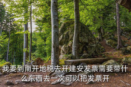 建安開票要提供什么，在國(guó)稅局開建安發(fā)票需要提交什么資料