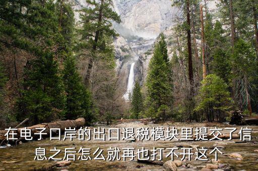 為什么退稅平臺(tái)進(jìn)不去，在電子口岸的出口退稅模塊里提交了信息之后怎么就再也打不開這個(gè)