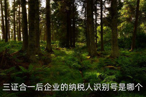三證合一的納稅人識別號是什么，三證合一后企業(yè)的納稅人識別號是哪個