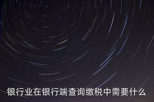 銀行端查詢繳稅要帶些什么，銀行業(yè)在銀行端查詢繳稅中需要什么