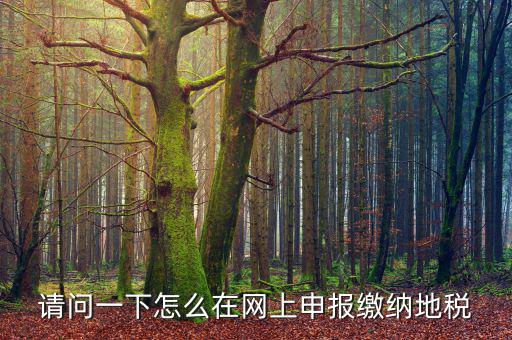 地稅個(gè)稅網(wǎng)址是什么，如何查詢(xún)個(gè)人所得稅明細(xì)