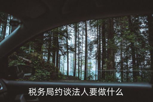 稅務(wù)異常約談法定代表干什么，稅務(wù)局約談法人要做什么