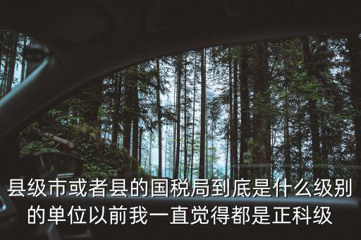 縣國(guó)稅局辦稅服務(wù)廳主任是什么級(jí)別，縣地稅局辦公室主任是什么行政級(jí)別