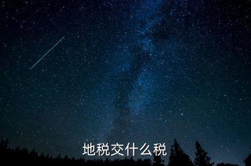 地稅交什么稅