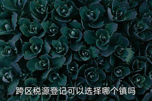 跨區(qū)稅源登記是什么，跨區(qū)稅源登記能否登記為一般納稅人