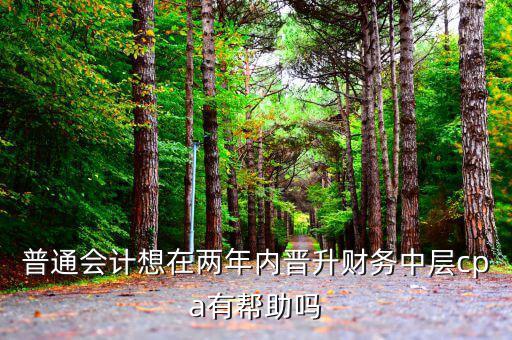 國稅有什么升職路線，普通會計想在兩年內晉升財務中層cpa有幫助嗎