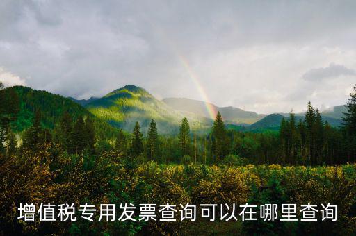在什么網(wǎng)站查發(fā)票，發(fā)票查驗在哪里查