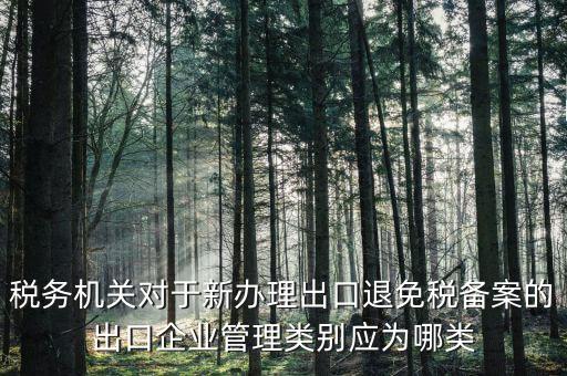 退 免 稅管理類別填 什么，出口退稅免稅分類管理等級申請?jiān)趺磳懓?/></a></span><span id=