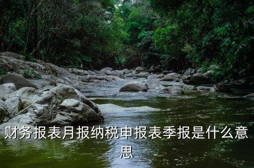 發(fā)票月報什么意思，發(fā)票月報非申報期是什么意思