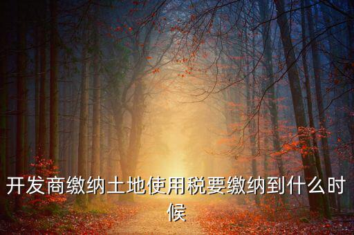 開(kāi)發(fā)商繳納土地使用稅要繳納到什么時(shí)候