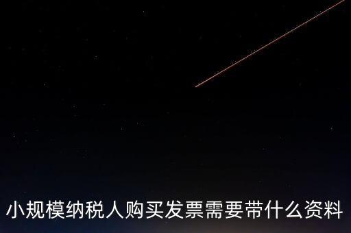 小規(guī)模納稅人購(gòu)買(mǎi)發(fā)票需要帶什么資料
