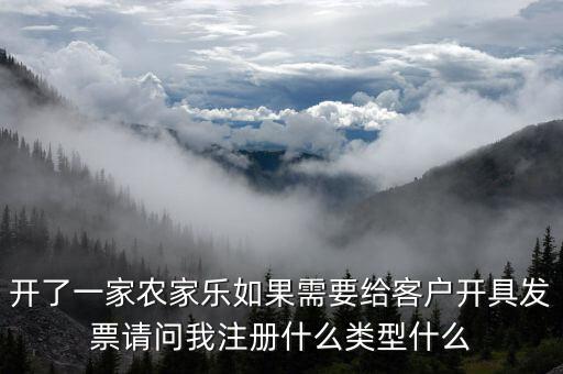 我要是以開普票為主 注冊什么性質的公司好，開了一家農(nóng)家樂如果需要給客戶開具發(fā)票請問我注冊什么類型什么