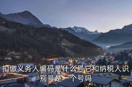 易稅門戶扣繳義務(wù)人編碼是什么，易稅門戶中扣繳義務(wù)人編碼指什么