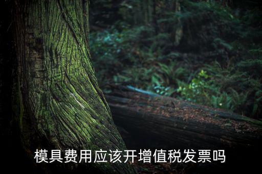 模具設(shè)計(jì)開發(fā)費(fèi)開什么發(fā)票，模具開發(fā)及制造費(fèi)一般開什么發(fā)票明細(xì)
