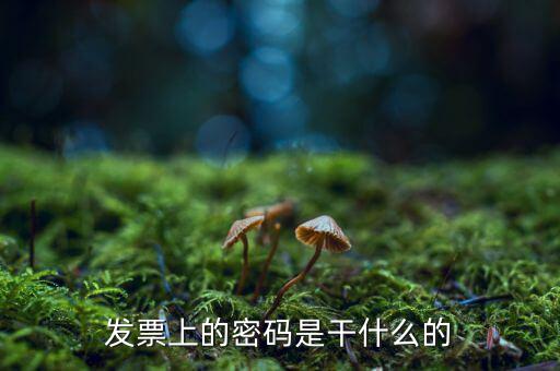 湖南汽車發(fā)票密碼是什么意思，發(fā)票上的密碼是做什么用的啊
