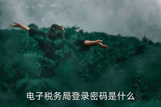 電子稅務(wù)局登錄密碼是什么