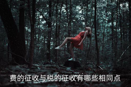 稅與費(fèi)有什么區(qū)別 稅收具有，費(fèi)的征收與稅的征收有哪些相同點(diǎn)