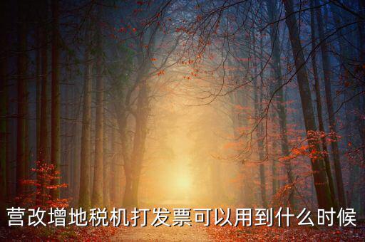 地稅發(fā)票能用到什么時(shí)候，納稅人已領(lǐng)取地稅機(jī)關(guān)印制的發(fā)票可以使用到什么時(shí)候