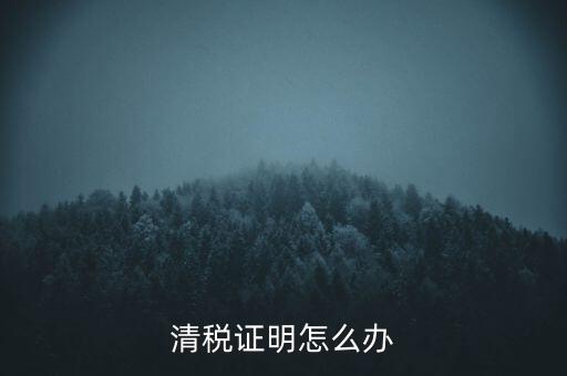 稅務(wù)無紙化辦公要什么材料，清稅證明怎么辦
