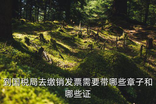 繳銷出口商品統(tǒng)一發(fā)票要蓋什么章，到國稅局去繳銷發(fā)票需要帶哪些章子和哪些證