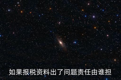 如果報(bào)稅資料出了問(wèn)題責(zé)任由誰(shuí)擔(dān)