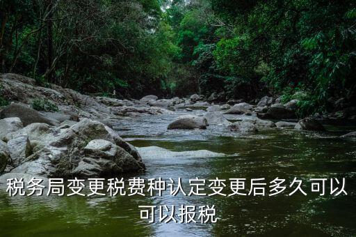 稅務局變更稅費種認定變更后多久可以可以報稅