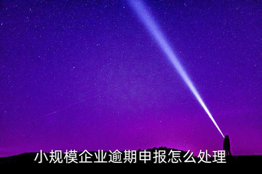 小規(guī)模納稅人如果沒有按時(shí)申報(bào)有什么后果，小規(guī)模不報(bào)稅什么后果