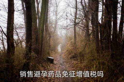 避孕藥品為什么免稅，個(gè)人購(gòu)買(mǎi)避孕套要交稅嗎