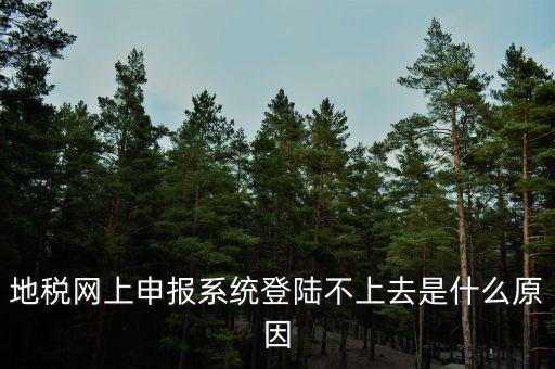 地稅網上申報系統(tǒng)登陸不上去是什么原因