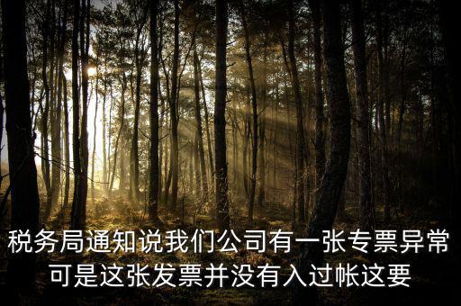 稅務(wù)局通知說(shuō)我們公司有一張專票異?？墒沁@張發(fā)票并沒(méi)有入過(guò)帳這要