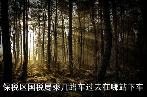 保稅區(qū)國(guó)稅局乘幾路車過(guò)去在哪站下車