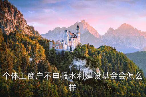 個(gè)體工商戶(hù)不申報(bào)水利建設(shè)基金會(huì)怎么樣