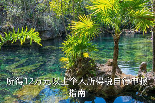 12萬元申報用什么申報表，個人獨資企業(yè)在申報年收入12萬以上時怎么填寫