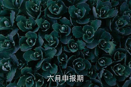 6月申報(bào)期是什么意思，個人所得稅申報(bào)期是每月15號嗎