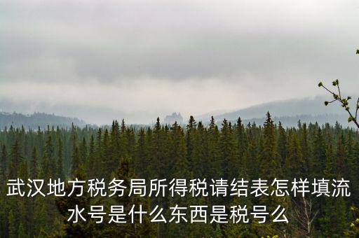 武漢地方稅務局所得稅請結(jié)表怎樣填流水號是什么東西是稅號么
