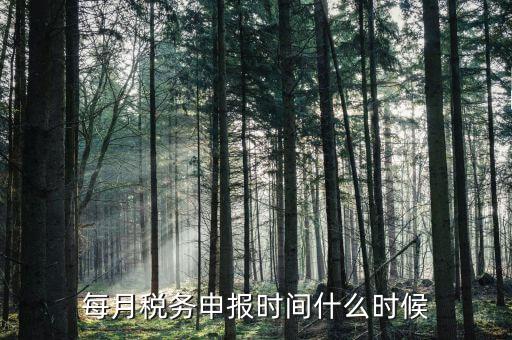 什么時候教育稅附加申報，每月稅務申報時間什么時候