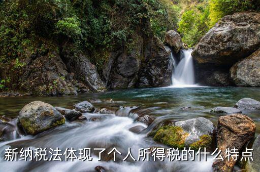 個人所得稅的特征是什么，簡述現(xiàn)行個人所得稅的特點