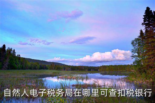 電子稅務(wù)局銀行端查詢什么，天津電子稅務(wù)局如何查詢銀行賬戶備案信息
