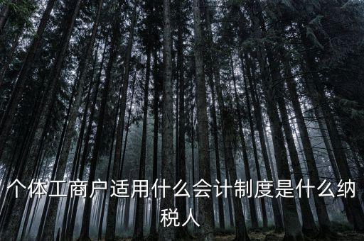 個體戶屬于什么納稅人，從事縫紉業(yè)務(wù)的個體戶屬于哪一類納稅人