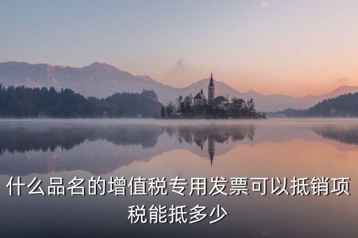 什么品名的增值稅專用發(fā)票可以抵銷項(xiàng)稅能抵多少