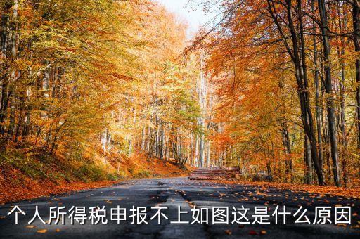 個(gè)稅申報(bào)失敗為什么，8月份個(gè)稅申報(bào)反饋時(shí)申報(bào)失敗怎么回事問專管員說已經(jīng)申報(bào)了但